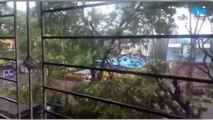 Watch: Cyclone Nisarga makes landfall, horrifying videos show cyclonic storm blows away rooftops