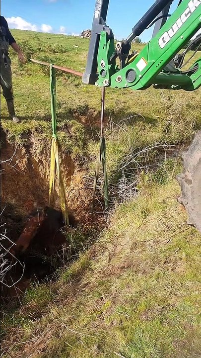 Missing Horse  Found and Rescued From Deep Ditch