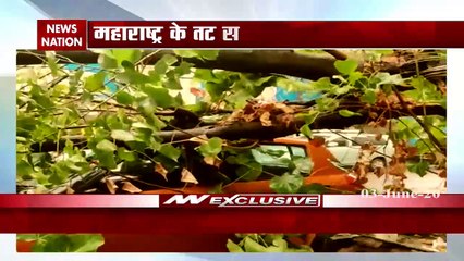 Nisharga cyclone: Heavy rains with strong winds in Maharashtra