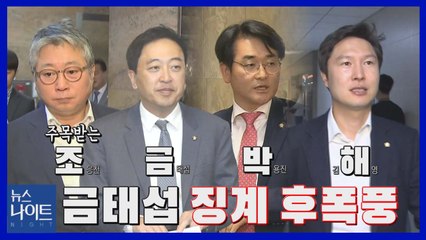 [나이트포커스] 금태섭 징계 후폭풍...주목받는 '조.금.박.해'? / YTN