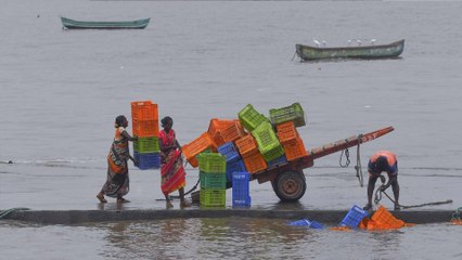 Video herunterladen: Cyclone Nisarga wreaks havoc in Maharashtra: Visuals inside