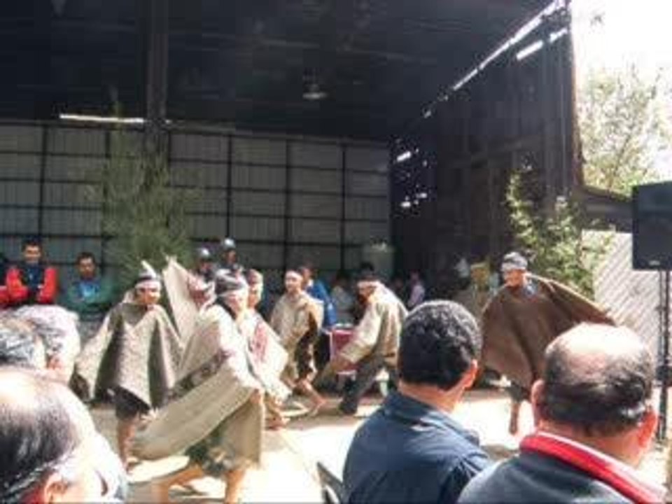 danse mapuche