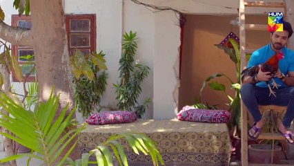 Soteli Maamta Episode 78 HUM TV Drama 3 June 2020