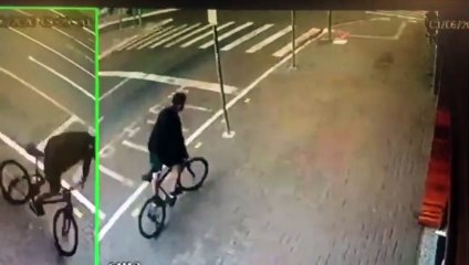 Galhos de árvore dificultam motoristas a enxergar semáforo