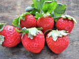 PSA: There May Be Bugs in Your Strawberries