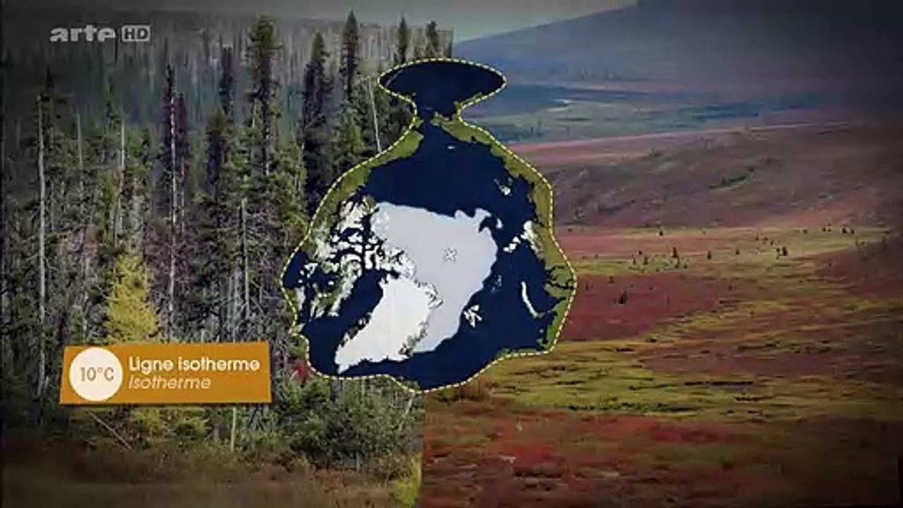 Conséquences de la fonte de la banquise arctique