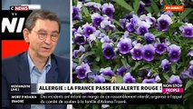 La quasi-totalité du territoire français placée en alerte rouge, en risque « très élevé » d’allergie liée au pollen - L'allergologue Pascal Bousiquier dans 