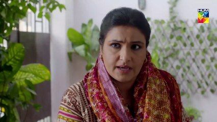 Wafa Kar Chalay Episode 91 HUM TV Drama 3 June 2020