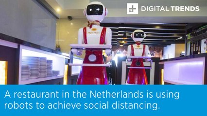 A restaurant in the Netherlands is using robots to achieve social distancing.