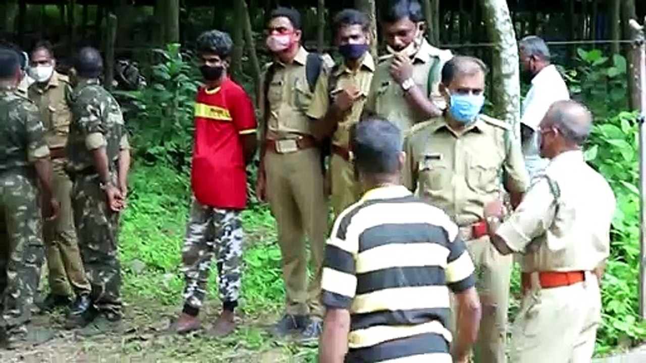 Tödliche Frucht - Elefant stirbt an Sprengfalle in Indien