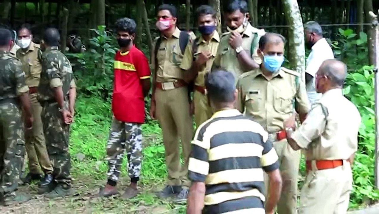 Tödliche Frucht - Elefant stirbt an Sprengfalle in Indien