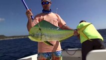 BIG BULL RED caught inshore fishing in Louisiana!!