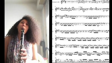 Bailando - Enrique Iglesias | Cover de Clarinete