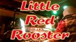 Little Red Rooster (Wild Eagle Blues Band)