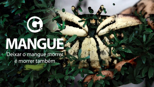 Deixar o mangue morrer é morrer também