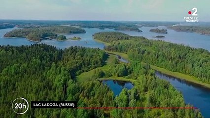 Le lac Ladoga, repère des phoques en danger