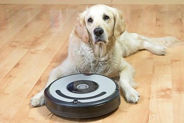 The 8 Best Robot Vacuums for Pet Owners
