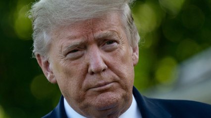 White House Physician: Trump Is Obese, Basically Healthy, And Took Hydroxychloroquine