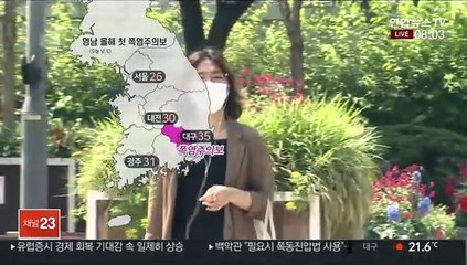 Descargar video: [날씨] 영남 올 첫 폭염특보…서울 26도·대구 35도