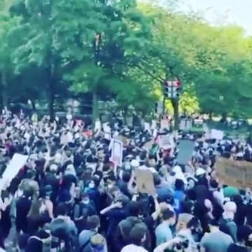 Protesters Rally Peacefully right off the White House Lawn