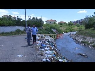 Скачать видео: Mbetjet urbane/ Inxhinieri për Report Tv: Lumi i Tiranës i vdekur, peshku i infektuar në Ishëm!