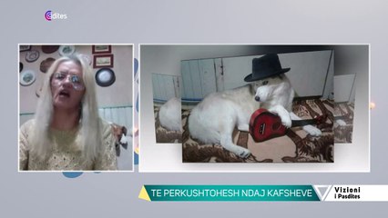 Vizioni i pasdites - Bashkëjeton me mbi 30 kafshë në shtëpi, historia e rrallë e Luljeta Selimit