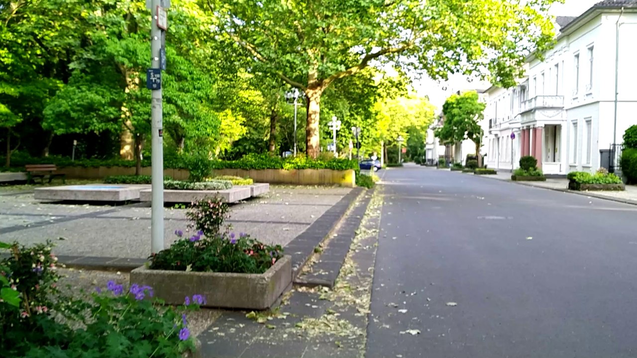 Bad Godesberg 3 2020-6-4