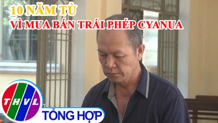 Lãnh 10 năm tù vì mua bán trái phép Cyanua