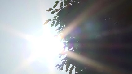 올 여름 첫 폭염 특보...대구 최고 35℃ 예보 / YTN