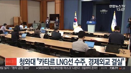 청와대 "카타르 LNG선 수주, 경제외교 결실"