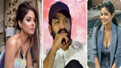 NTR Fans Trolls On Meerra Chopra || ఎన్టీఆర్ ఫ్యాన్స్ పై మీరా చోప్రా పోలీస్ కేస్...!!