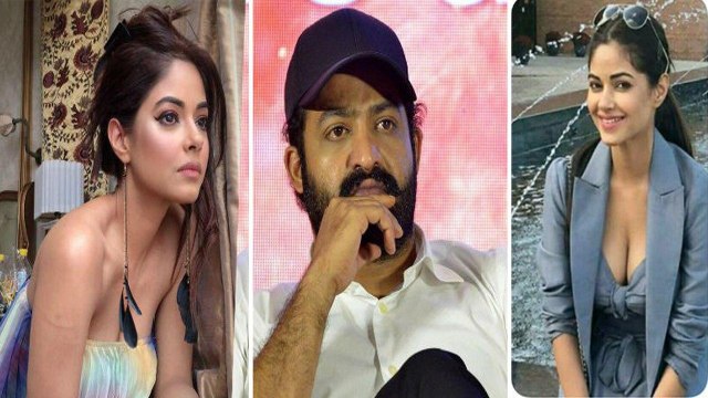 NTR Fans Trolls On Meerra Chopra || ఎన్టీఆర్ ఫ్యాన్స్ పై మీరా చోప్రా పోలీస్ కేస్...!!