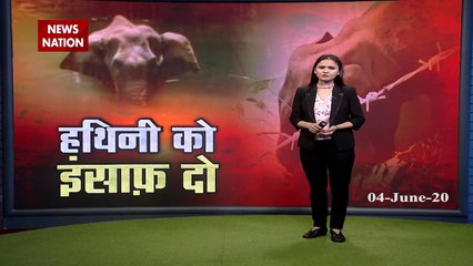 Center seeks report from Kerala govt on pregnant elephant's death