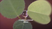Nikon 55mm lens with macro Extension Tubes watch before you buy