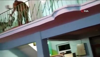 Dağ keçisi camiye girdi