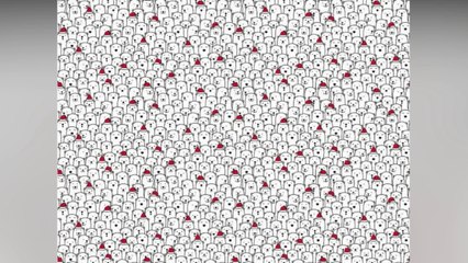 3 petits défis pour tester votre sens de l'observation