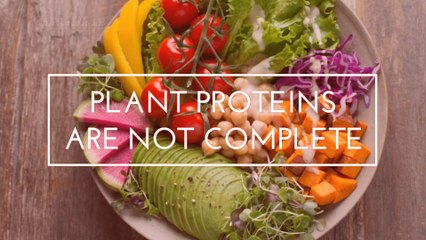 Confused about Proteins? Let's clear up some myths