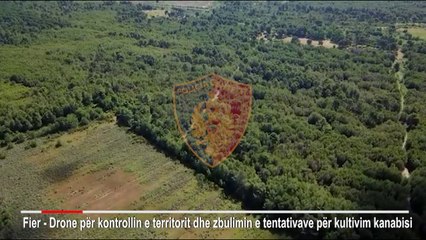 Ora News - Policia lëshon dronët kundër kanabisit, 100 policë në terren, arrestohet i riu në Fier