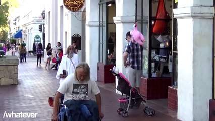 Baby fly away and dies