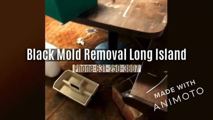 Black Mold Removal Long Island