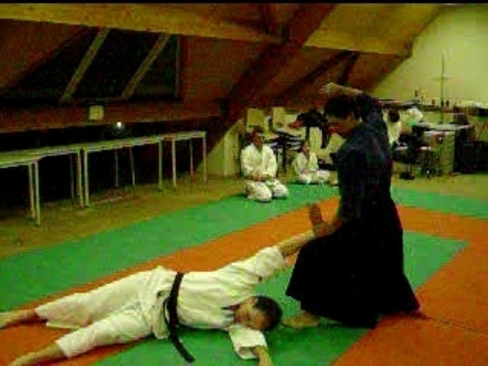 Aiki Ju Jutsu 03