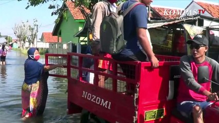 Banjir Rob Makin Tinggi, Warga Mengungsi