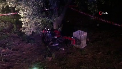 Yola fırlayan domuza çarpan vatandaş, hayatını kaybetti