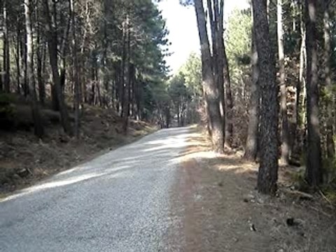 Run Hebo revo XL vs husqvarna wre 125