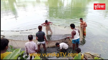 Daily Fishing Videos | Net Fishing village