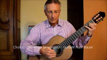 Choros - Choro divagando - Domingo Semenzato - Guitare Alain Bauer