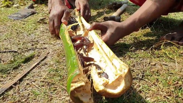 Best Bamboo Fishing Trap - Crazy Fishing Trap With Green Bamboo. Catch Singi Fish and Catfish-