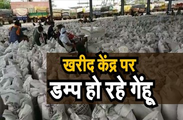 खरीद केंद्र पर डम्प हो रहे गेंहू