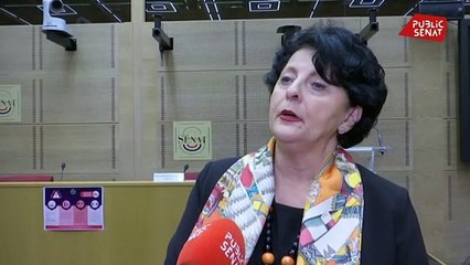 Lubrizol: Christine Bonfanti-Dossat (LR): "« Les moyens (d’alerte) employés à l’heure de l’incendie étaient complètement archaïques et inefficaces"