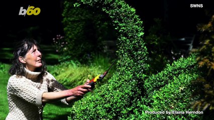 Green With Envy! This Woman’s Yard Surely Makes Her Neighbors Jealous
